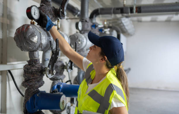 Best Clogged Drain Plumber  in Egypt, AL